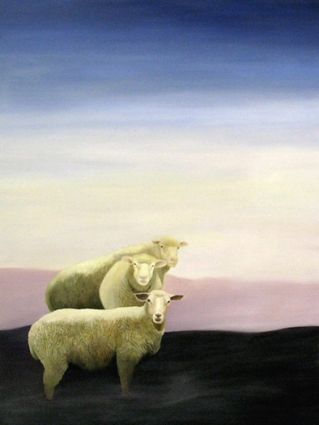 sheep, 2007