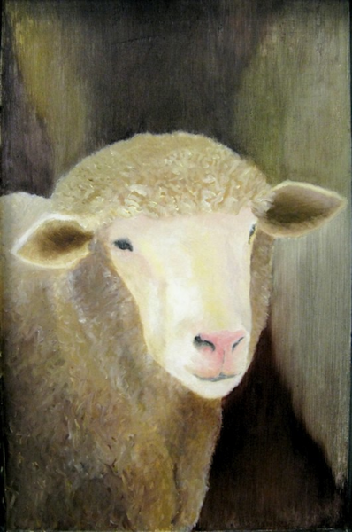 sheep, 2007