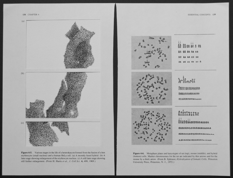 molecular biology, 2011