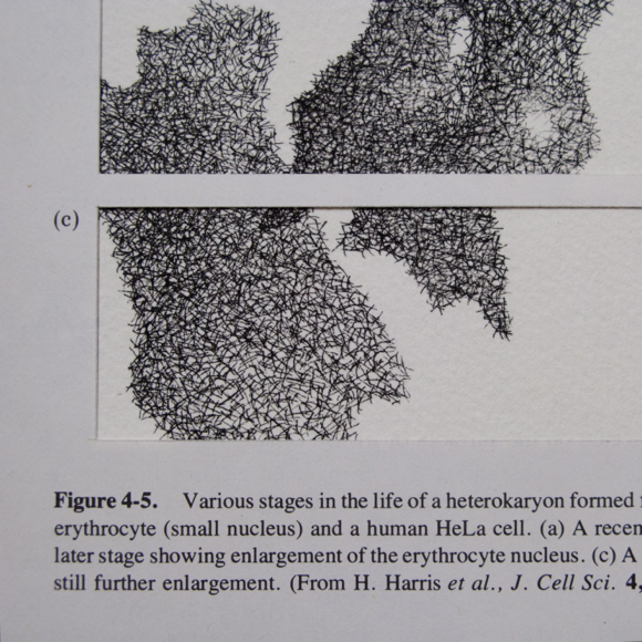 molecular biology, 2011